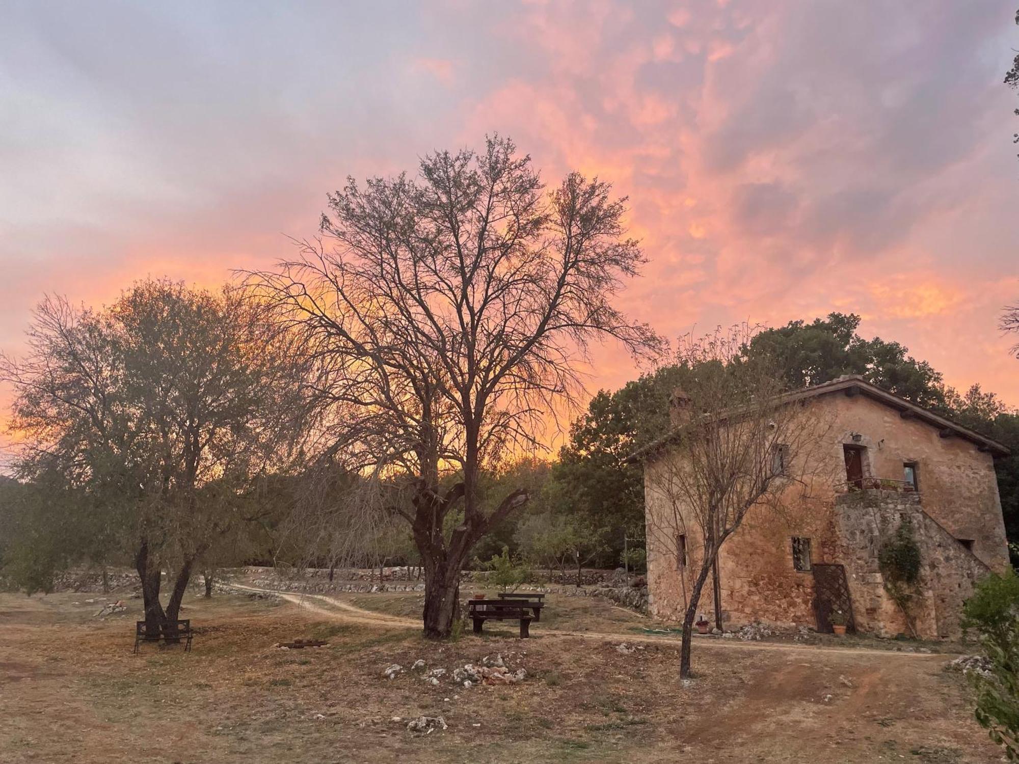 Agriturismo Il Caggio Sovicille Dış mekan fotoğraf