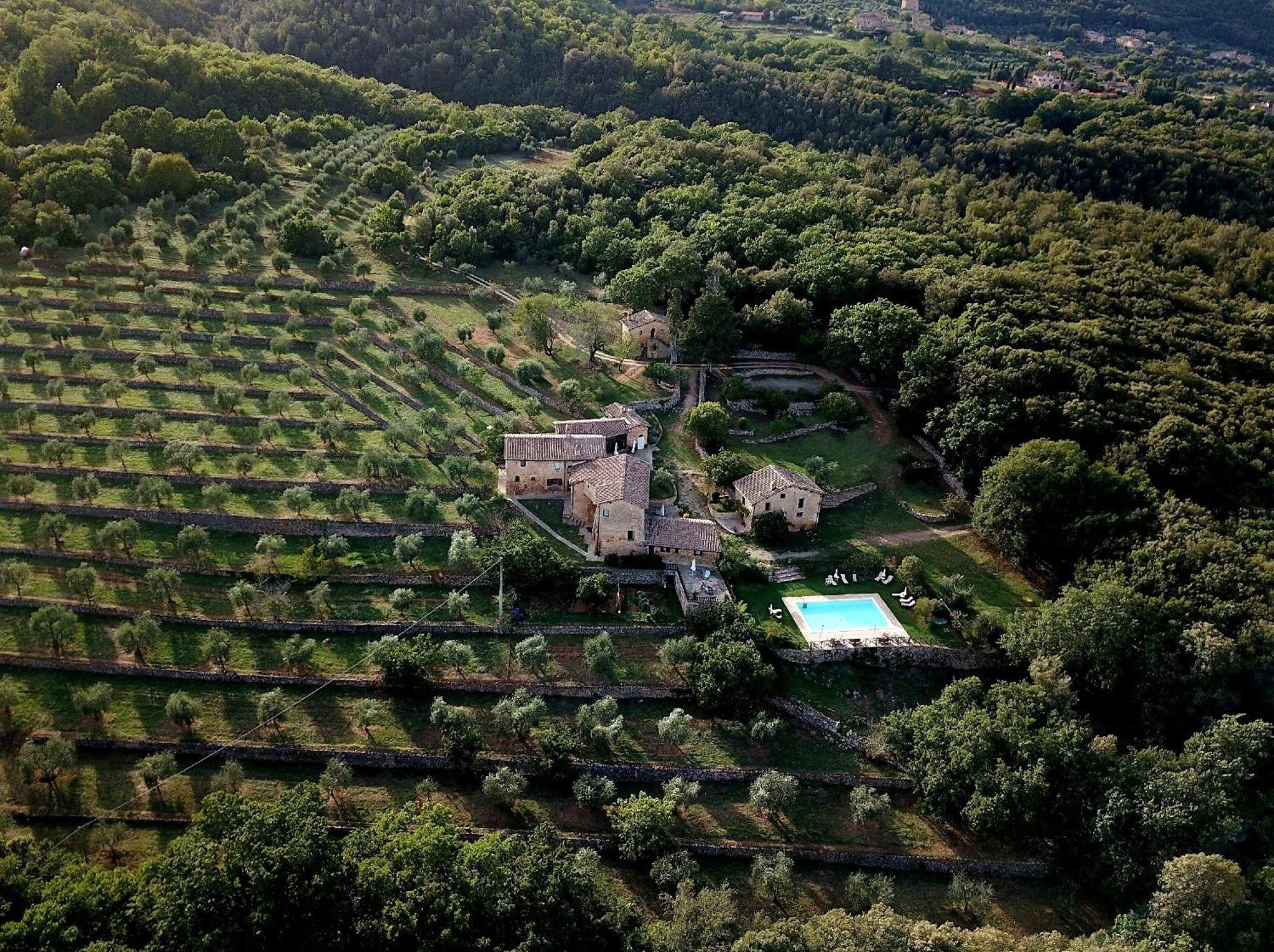 Agriturismo Il Caggio Sovicille Dış mekan fotoğraf